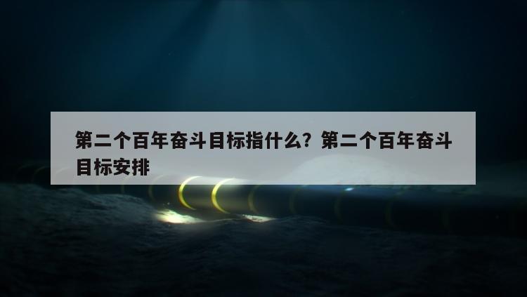 第二个百年奋斗目标指什么？第二个百年奋斗目标安排