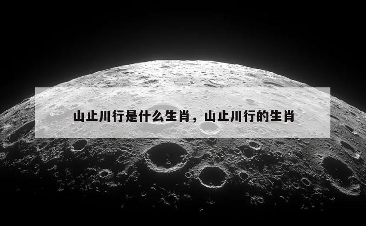 山止川行是什么生肖，山止川行的生肖