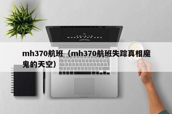 mh370航班（mh370航班失踪真相魔鬼的天空）