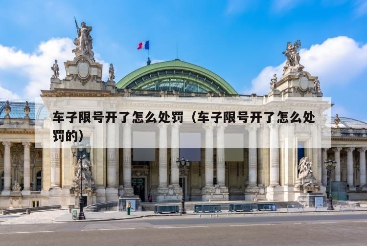 车子限号开了怎么处罚（车子限号开了怎么处罚的）
