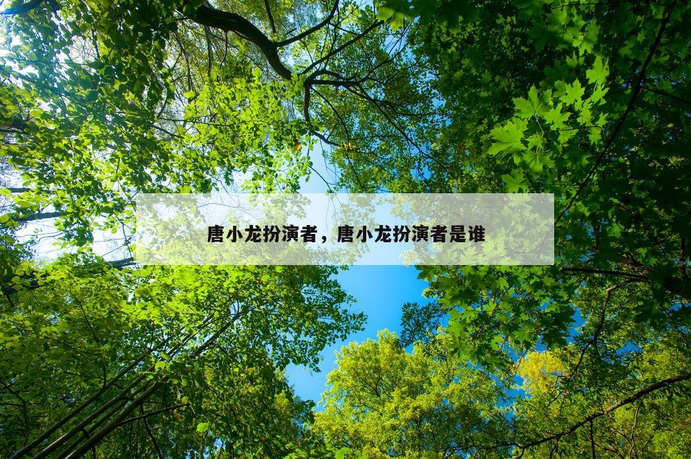 唐小龙扮演者，唐小龙扮演者是谁