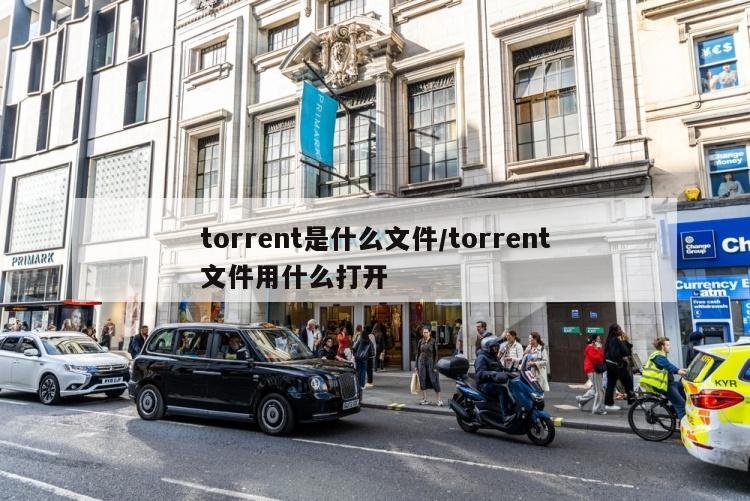 torrent是什么文件/torrent文件用什么打开