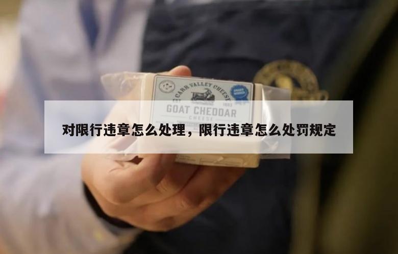 对限行违章怎么处理，限行违章怎么处罚规定