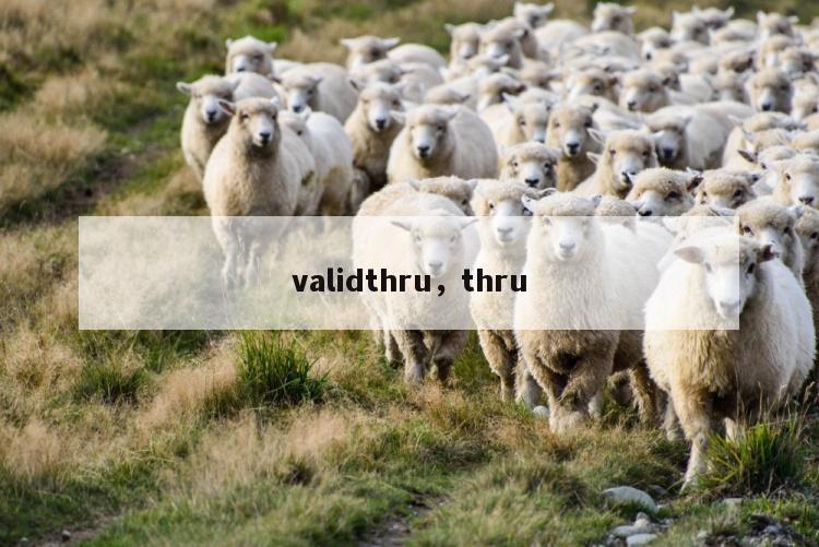 validthru，thru