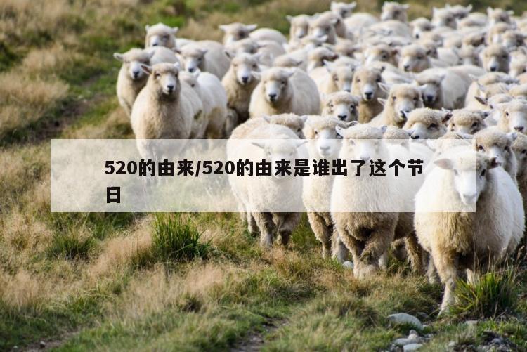 520的由来/520的由来是谁出了这个节日