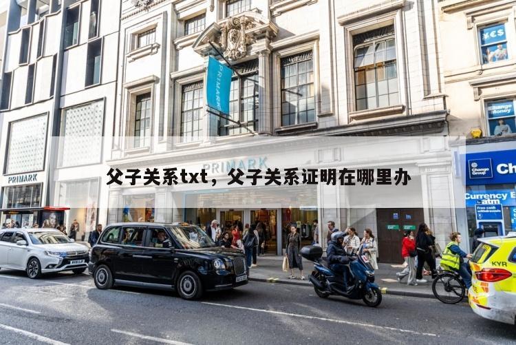 父子关系txt，父子关系证明在哪里办