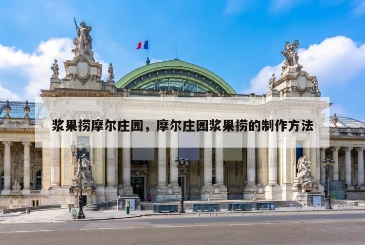 浆果捞摩尔庄园，摩尔庄园浆果捞的制作方法