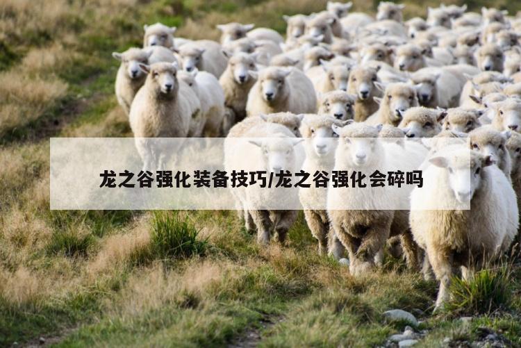 龙之谷强化装备技巧/龙之谷强化会碎吗