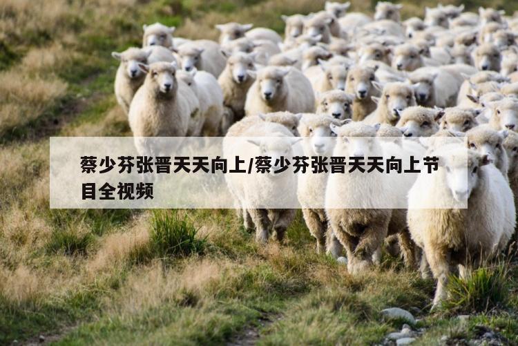 蔡少芬张晋天天向上/蔡少芬张晋天天向上节目全视频