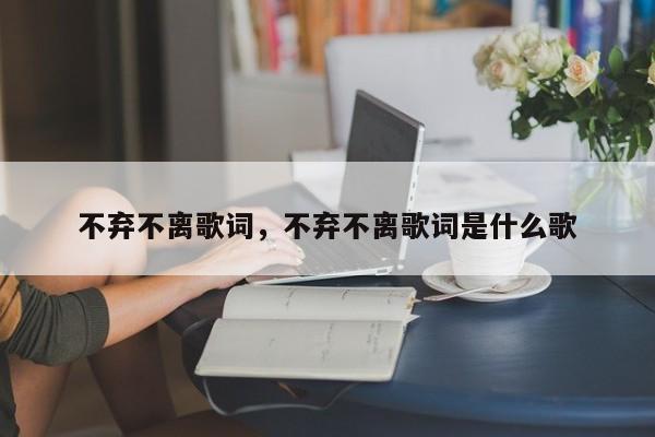 不弃不离歌词，不弃不离歌词是什么歌