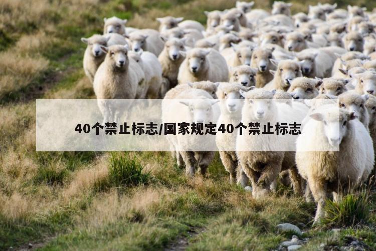 40个禁止标志/国家规定40个禁止标志