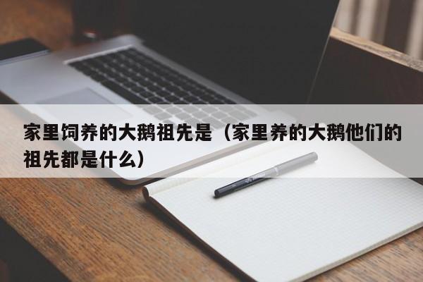 家里饲养的大鹅祖先是（家里养的大鹅他们的祖先都是什么）