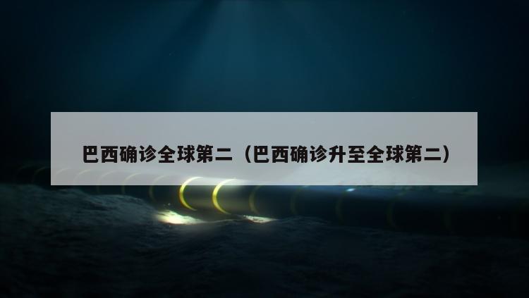 巴西确诊全球第二（巴西确诊升至全球第二）