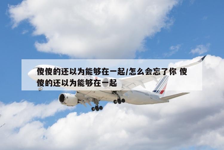 傻傻的还以为能够在一起/怎么会忘了你 傻傻的还以为能够在一起