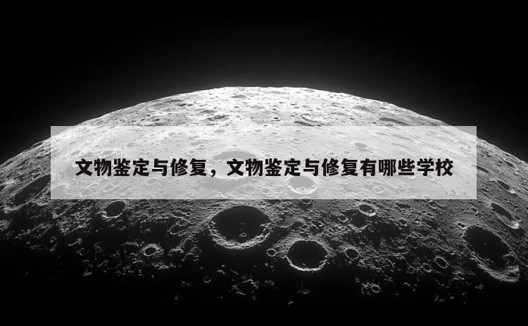 文物鉴定与修复，文物鉴定与修复有哪些学校
