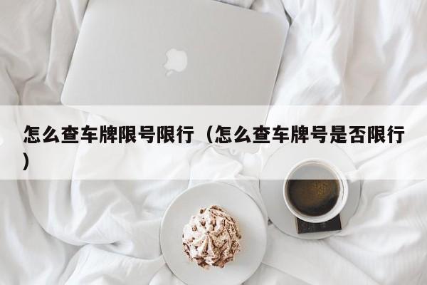 怎么查车牌限号限行（怎么查车牌号是否限行）