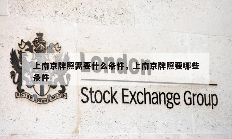 上南京牌照需要什么条件，上南京牌照要哪些条件