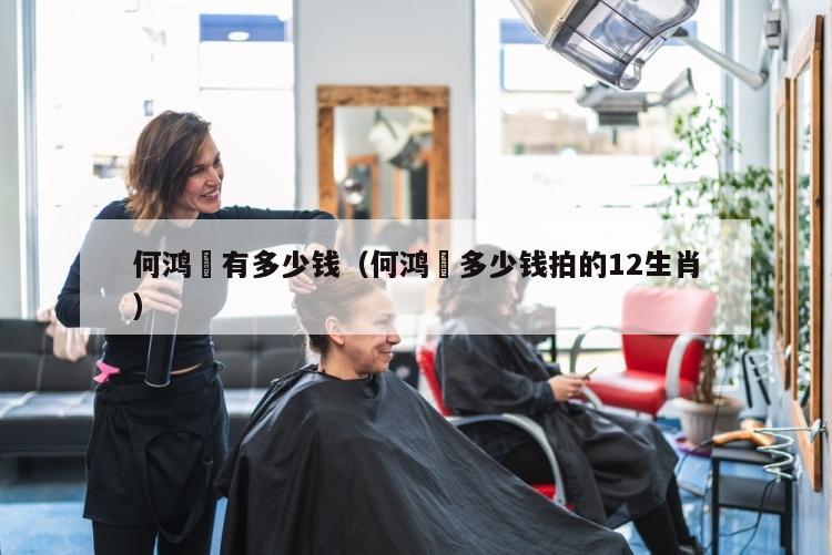 何鸿燊有多少钱（何鸿燊多少钱拍的12生肖）
