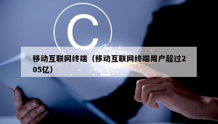 移动互联网终端（移动互联网终端用户超过205亿）