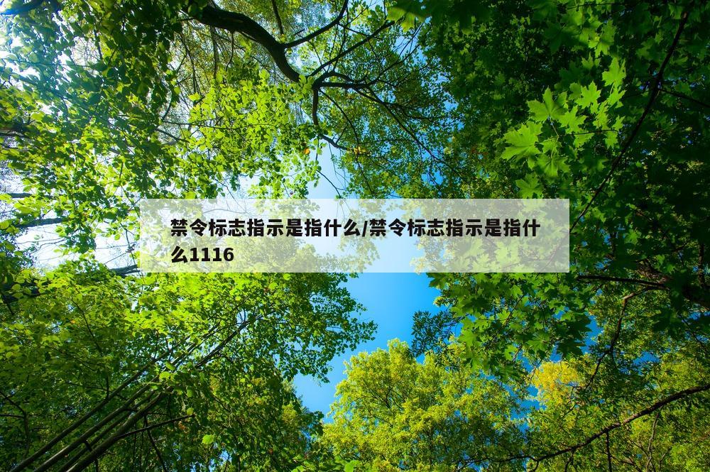 禁令标志指示是指什么/禁令标志指示是指什么1116